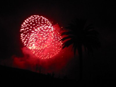 Se Kasper og Heidis fotos fra La Bajada de la Virgen i Santa Cruz de la Palma juli 2005